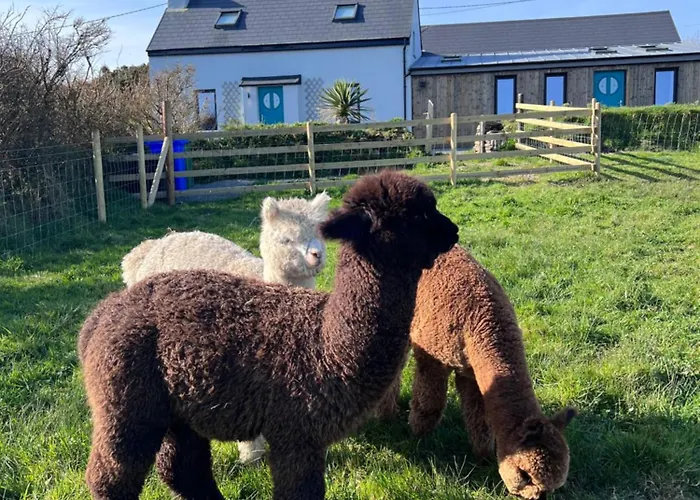 Wild Wild West Holiday Cottages